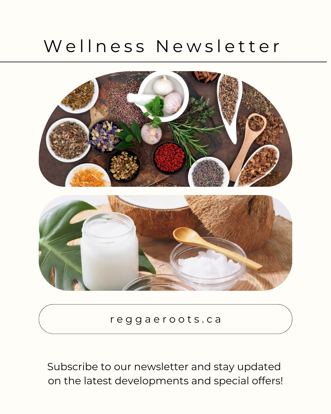 🌿 Wellness Weekly Newsletter